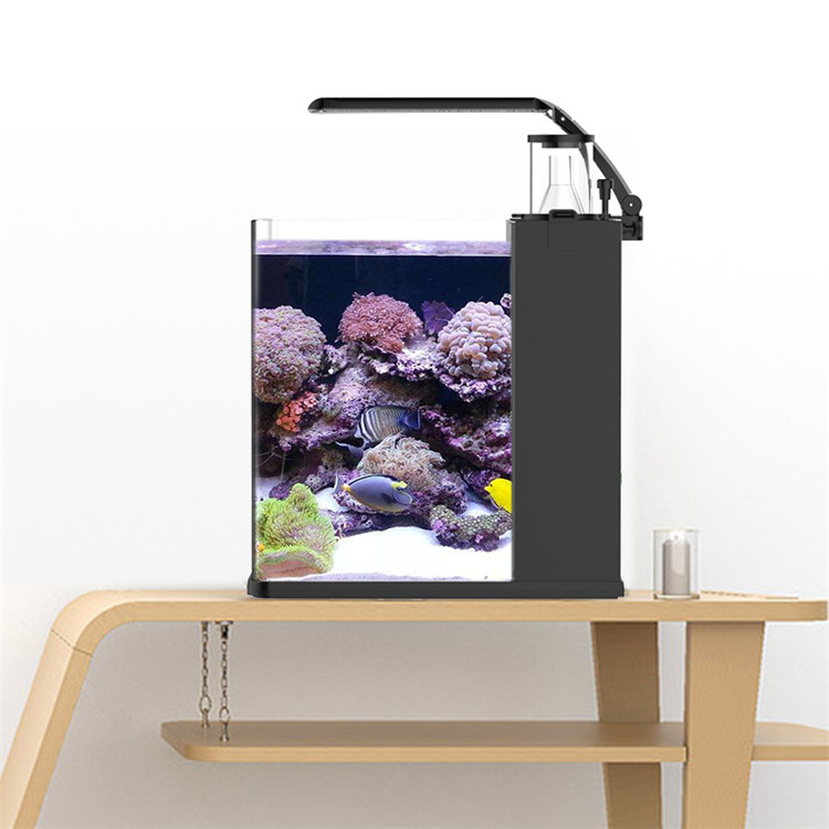 Marine Aquarium In Clearwater - Skynuo Ultra Clear Glass Mini Acuario