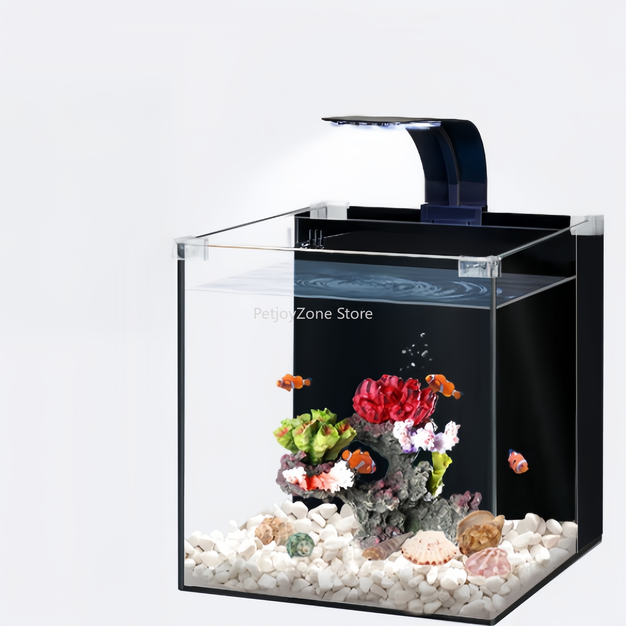Marine Aquarium In Clearwater - Acuario marino de agua salada ultra