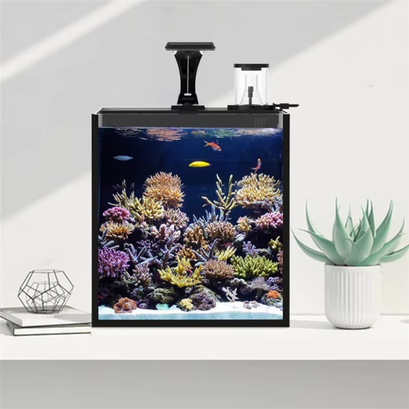 Acuario Marino de Agua Salada  - Marine Aquarium In Clearwater reseña y precio