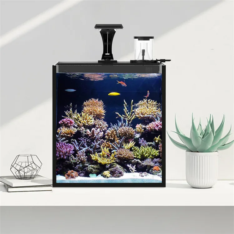 El último modelo de vidrio tra - Marine Aquarium In Clearwater reseña y precio