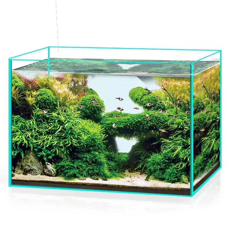 Acuario de Vidrio Ultra Transp - Marine Aquarium In Clearwater reseña y precio