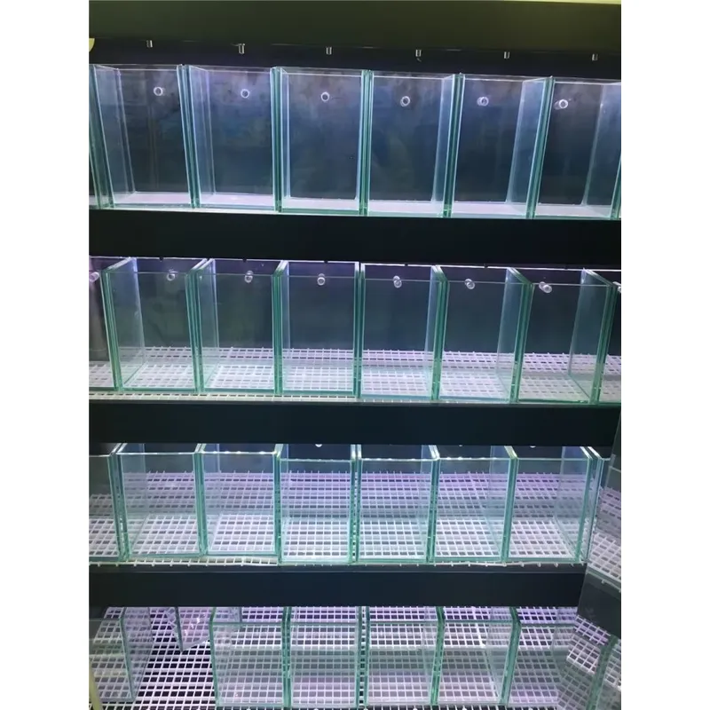 Acuario de Vidrio Ultra Transp - Marine Aquarium In Clearwater reseña y precio