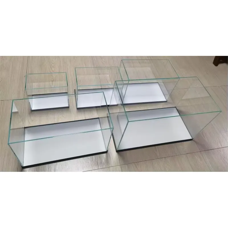 Acuario de Vidrio Ultra Transp - Marine Aquarium In Clearwater reseña y precio