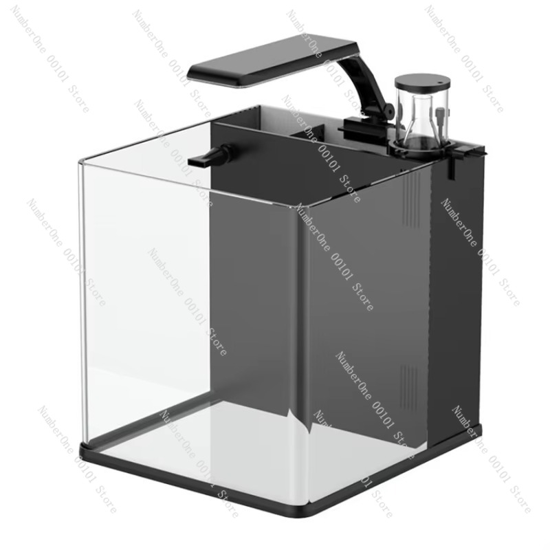 Mini Acuario de Agua Salada de - Marine Aquarium In Clearwater reseña y precio