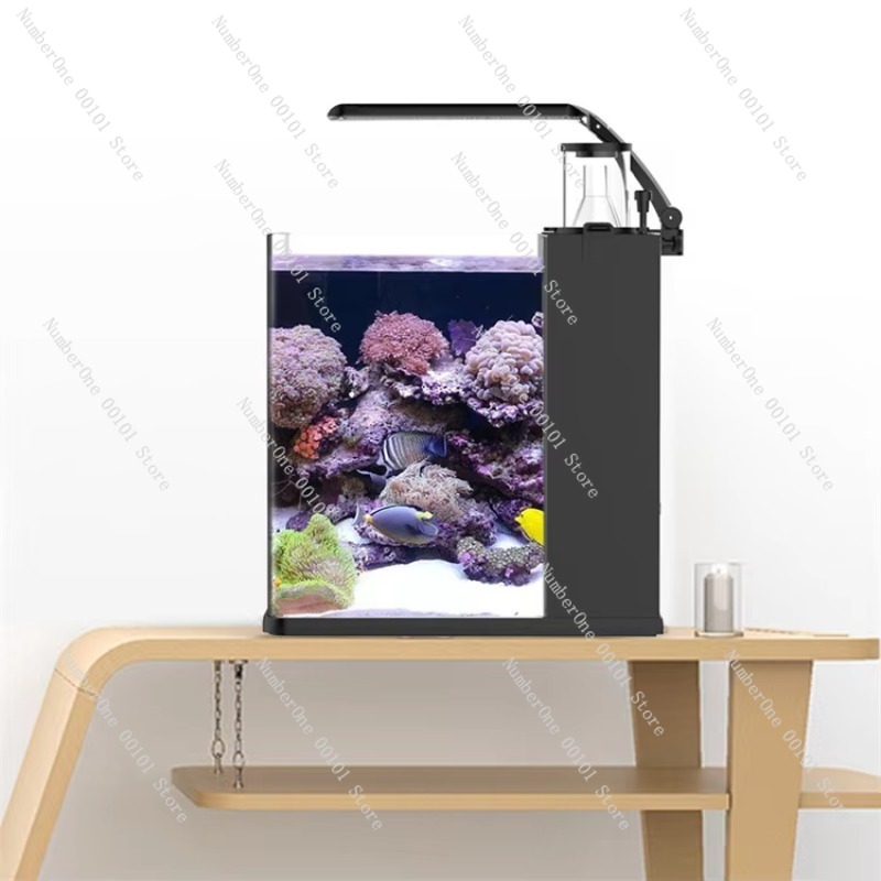 Mini Acuario de Agua Salada de - Marine Aquarium In Clearwater reseña y precio
