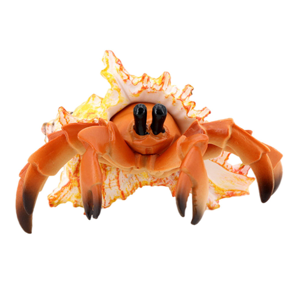Cangrejo ermitaño de simulació - Marine Aquarium Europe reseña y precio