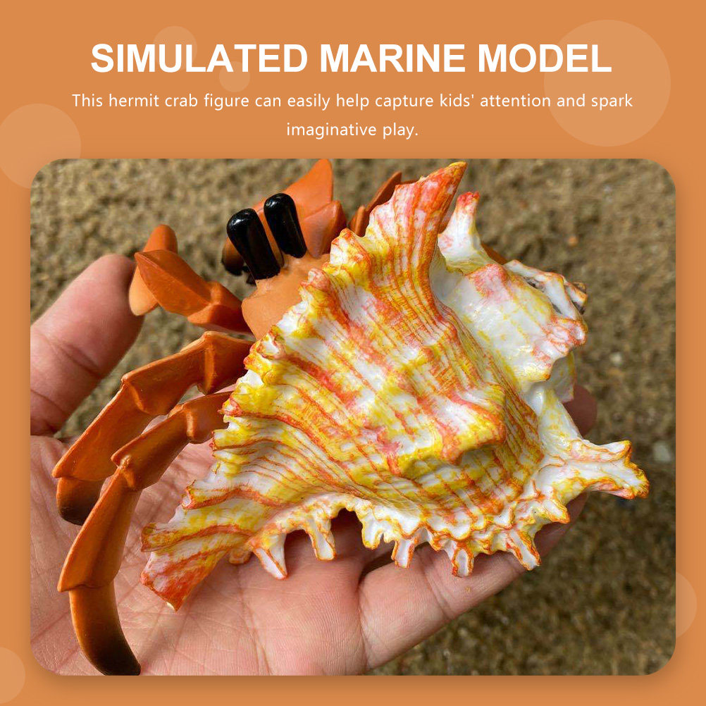 Cangrejo ermitaño de simulació - Marine Aquarium Europe reseña y precio