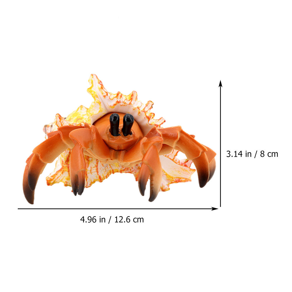 Cangrejo ermitaño de simulació - Marine Aquarium Europe reseña y precio