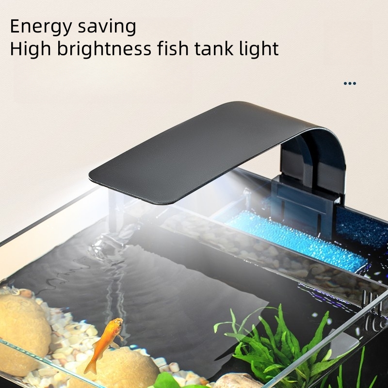Acuario marino de agua salada  - Marine Aquarium In Clearwater reseña y precio