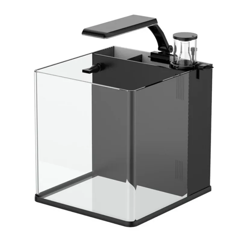 Acuario Marino de Agua Salada  - Marine Aquarium In Clearwater reseña y precio