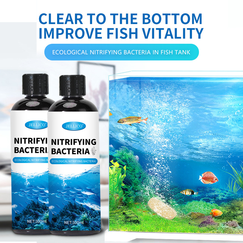 Purificador de Agua para Acuar - Marine Aquarium In Clearwater reseña y precio
