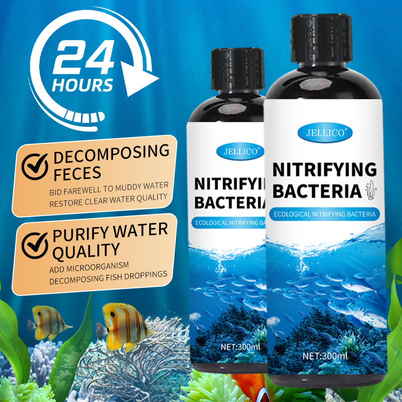 Purificador de Agua para Acuar - Marine Aquarium In Clearwater reseña y precio