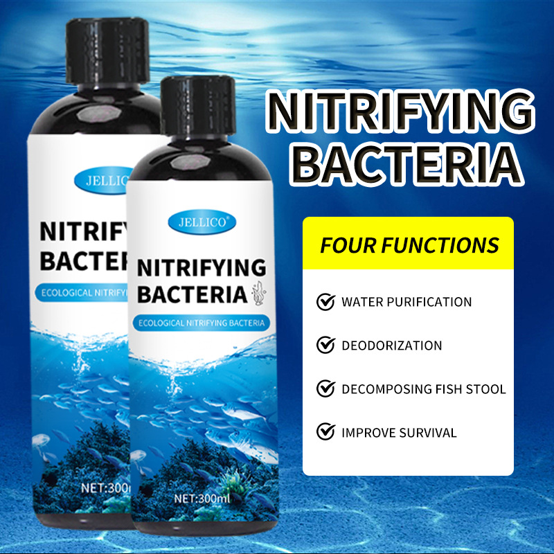 Purificador de Agua para Acuar - Marine Aquarium In Clearwater reseña y precio