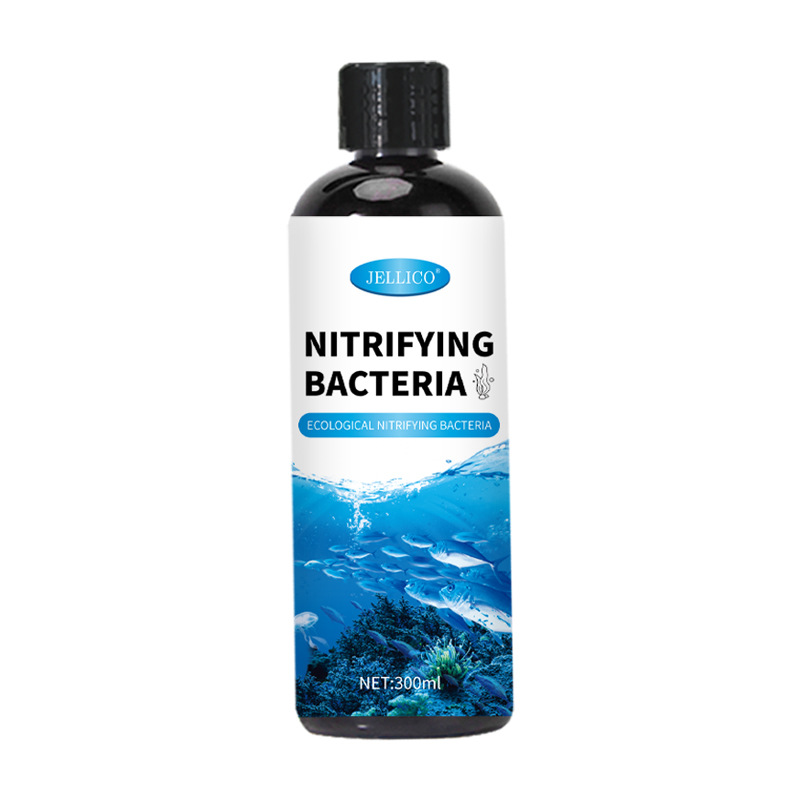 Purificador de Agua para Acuar - Marine Aquarium In Clearwater reseña y precio