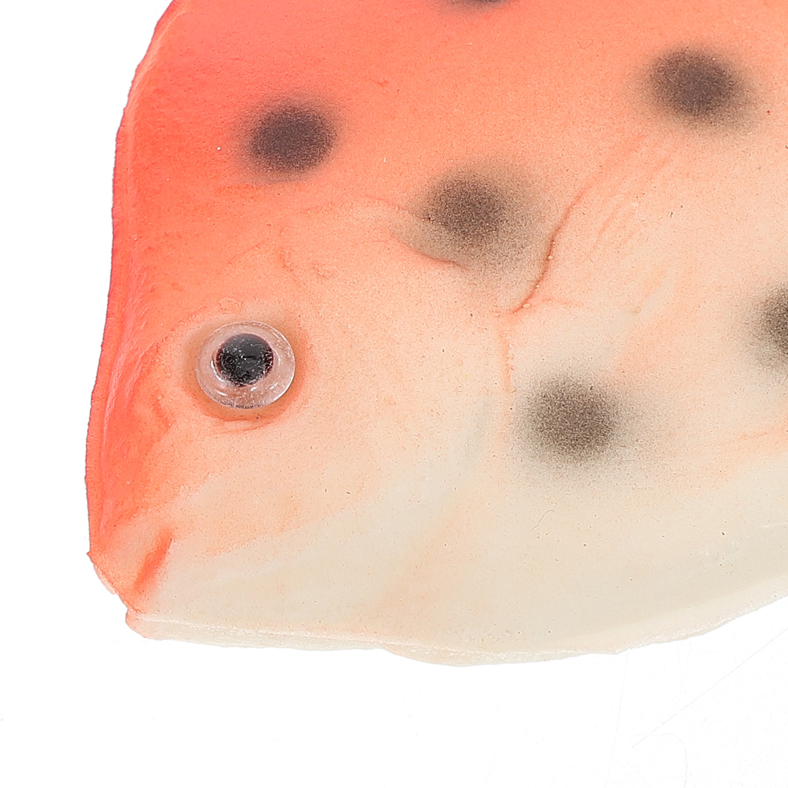 2 Piezas de Modelos Realistas  - Marine Aquarium Europe reseña y precio