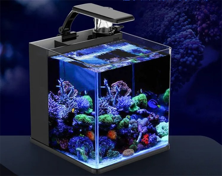 Mini Acuario Marino de Agua Sa - Marine Aquarium In Clearwater reseña y precio