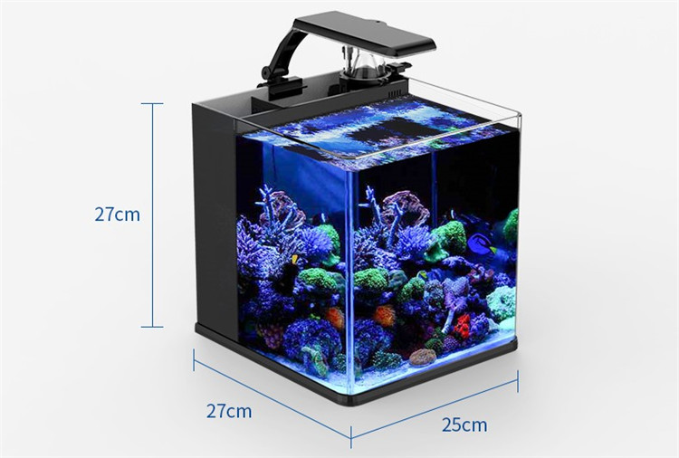 Mini Acuario Marino de Agua Sa - Marine Aquarium In Clearwater reseña y precio